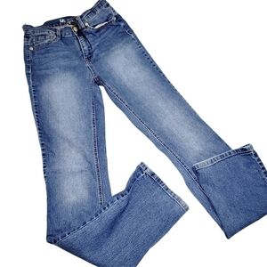 Dg2 by Diane Gilman Straight Leg Jeans Size 4L